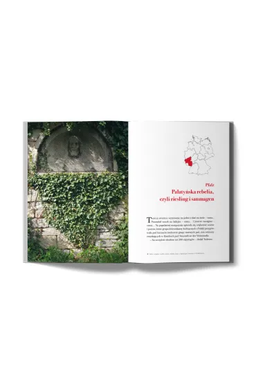 Riesling i tapasy. O niezwyk�ych po��czeniach jedzenia i wina na szlakach Europy - Tomasz Prange-Barczy�ski
