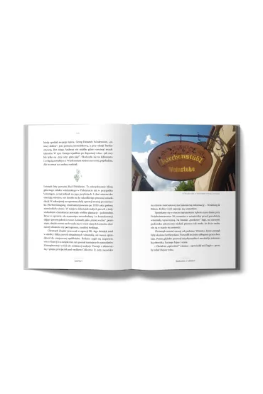 Riesling i tapasy. O niezwyk�ych po��czeniach jedzenia i wina na szlakach Europy - Tomasz Prange-Barczy�ski