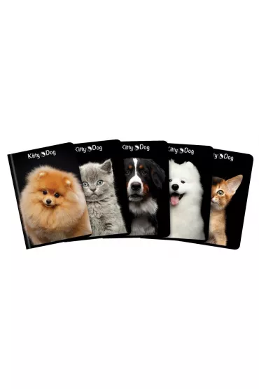 Top-2000 Zeszyt A5 Kitty&Dog kratka 32 kartki 10 szt.