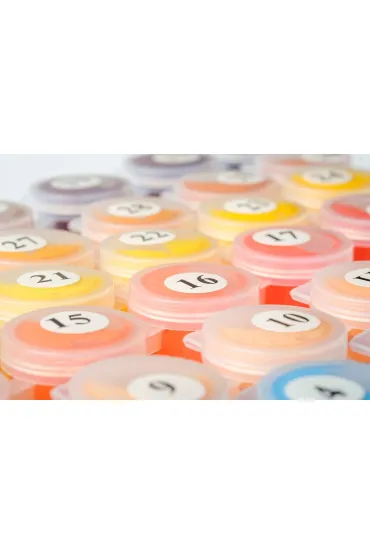 Twoje Hobby Plakaty Malowanie po numerach - Jednoro�ec 40 x 50 cm