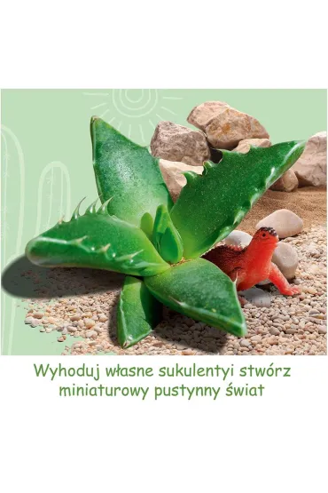 Pustynia Kaktus�w Kosmos