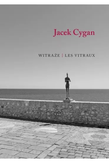 Witra�e / Les vitraux - Jacek Cygan