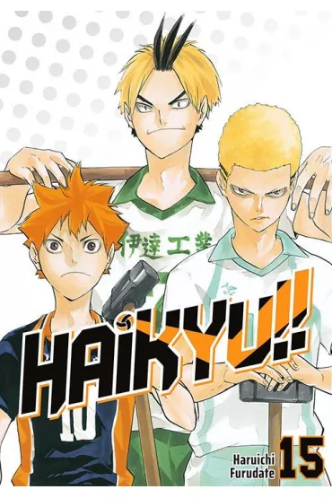 Haikyu!! #15 - Haruichi Furudate