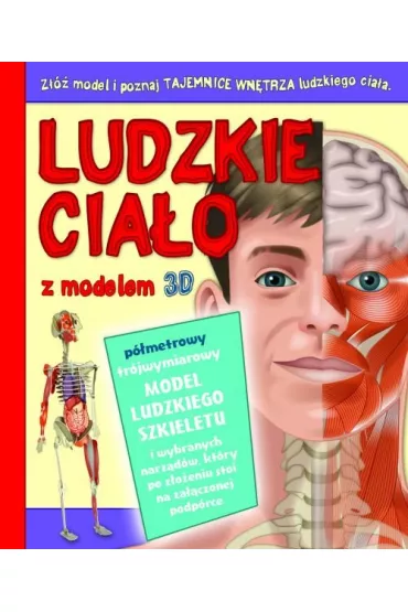Ludzkie cia�o z modelem 3D
