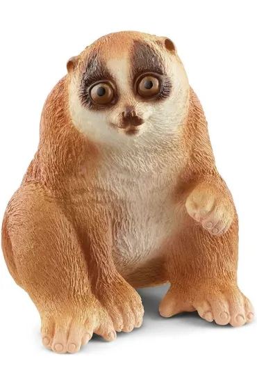 Kukang