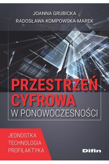 Przestrzeń cyfrowa w ponowoczesności