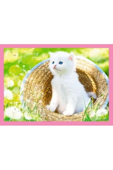 Puzzle 4w1 - Zabawne kotki (35+48+54+70 el.) Trefl
