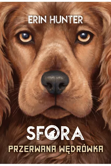 Przerwana w�dr�wka. Sfora. Tom 4 - Erin Hunter