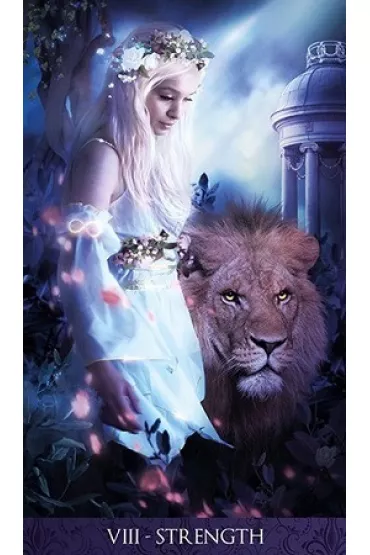 Tarot de la Nuit, Tarot Nocy