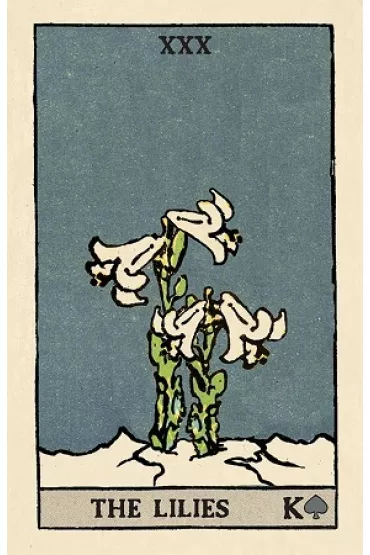 Pixie's Astounding Lenormand - Edmund  Zebrowski