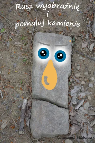 eBook Rusz wyobra�ni� i pomaluj kamienie pdf - Katarzyna Michalec