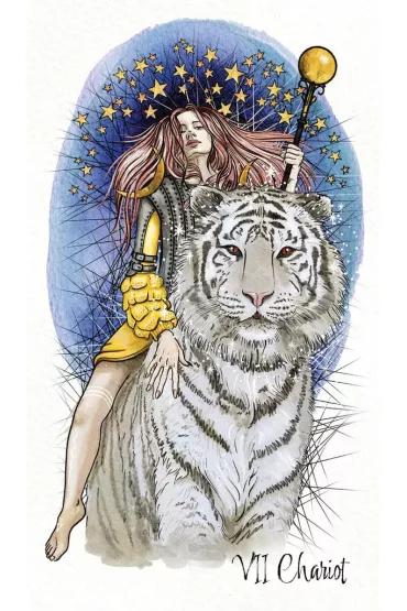 Unfolding Path Tarot, karty do wr�enia