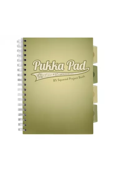 Pukka Pad Project Book B5 Olive Green Oliwkowy kratka, 80g 100 kartek