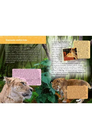 Ksi��ka edu. B5 Ma�a encyklopedia. Rekordy przyrody SKRZAT 078534 - Sylwia Chojecka