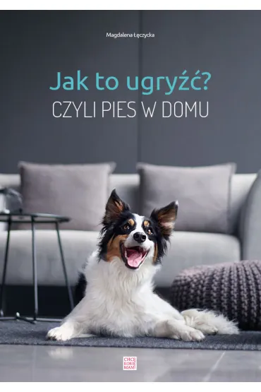 Jak to ugry��? Czyli pies w domu - Magdalena  ��czycka