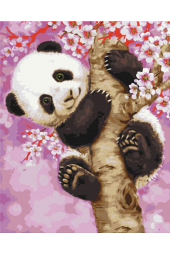 Symag Malowanie po numerach. Panda 40 x 50 cm