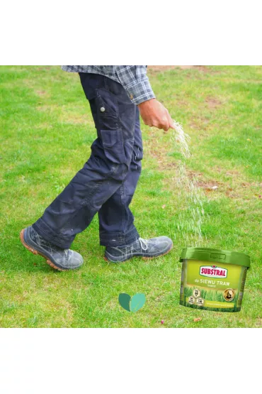 Substral Nawz 60 dni do siewu traw 10 kg