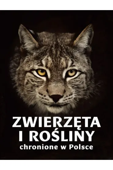 Zwierz�ta i ro�liny chronione w Polsce - Izabella Sie�ko-Holewa, Sylwia Weber
