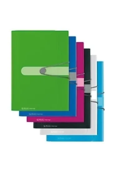 Herlitz Teczki z przegr�dkami Easy Orga To Go (11277944)