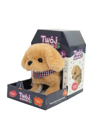 Tw�j pupilek piessek Askato