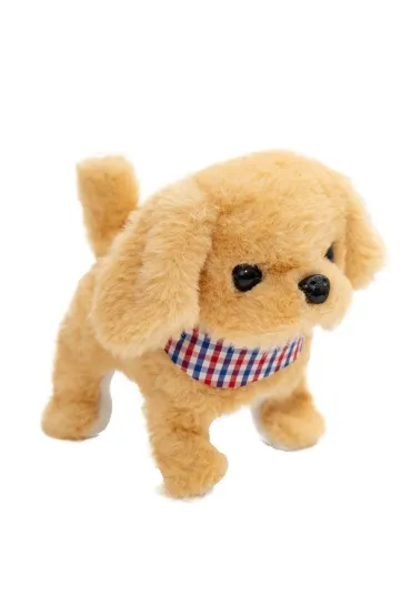 Tw�j pupilek piessek Askato