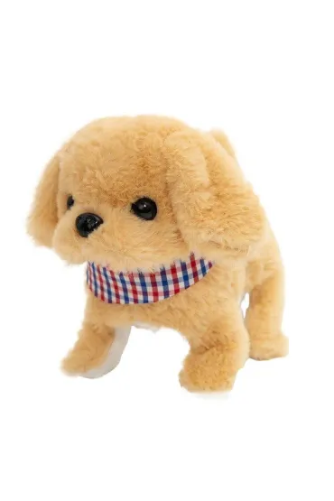 Tw�j pupilek piessek Askato