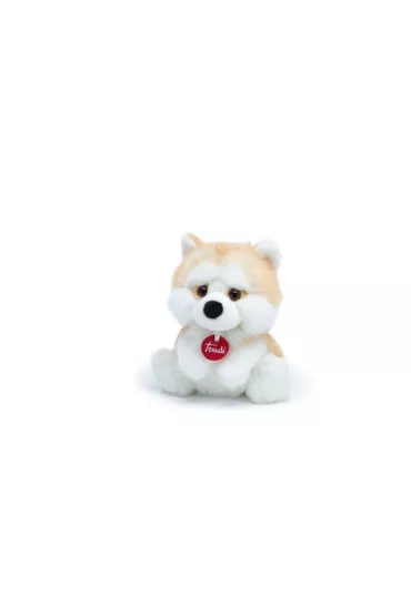 Fluffy Akita Trudi