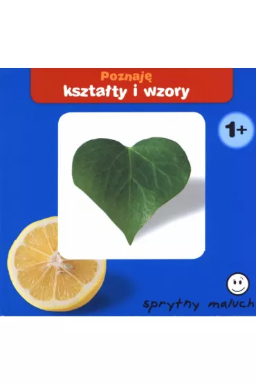 Sprytny maluch poznaje kszta�ty I wzory