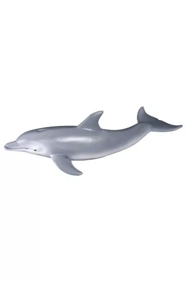 Delfin but�onosy