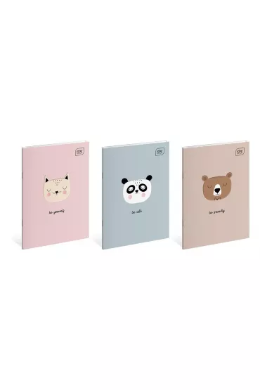 Interdruk Zeszyt A6 BB Friends Girls linia 32 kartki 10 szt.