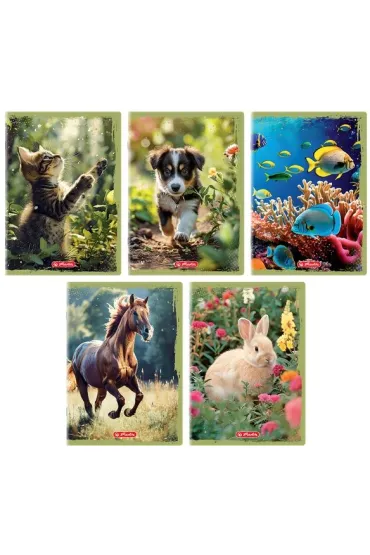 Zeszyt Animals Herlitz A5 32 kartki - kratka 32 10 szt.