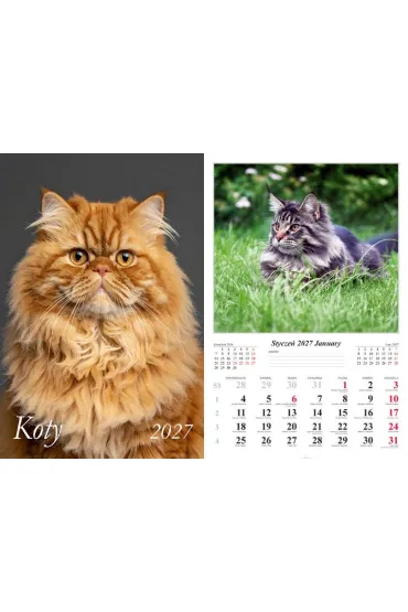 Kalendarz 2027 �cienny 13-k Koty