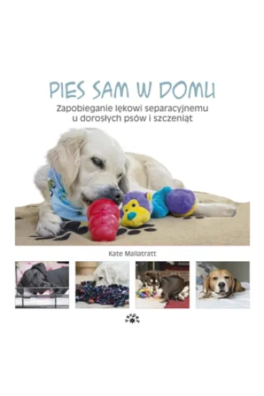 Pies sam w domu - Kate Mallatratt