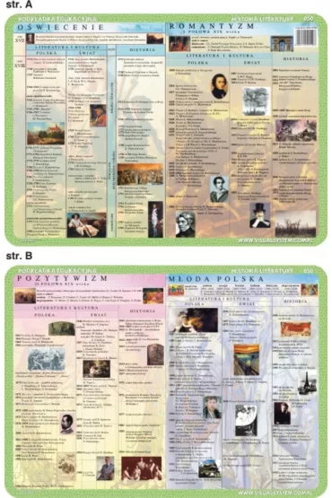 Visual System Podk�adka edukacyjna. Literatura. O�wiecenie
