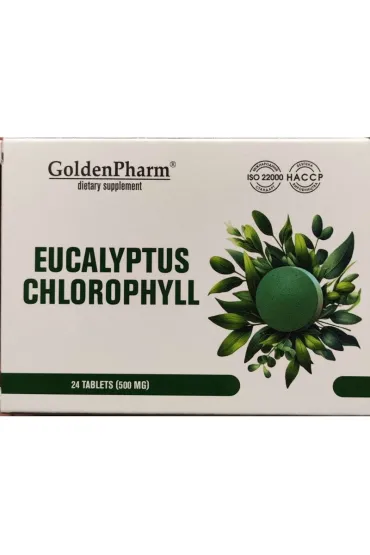Golden Pharm Eukaliptus + Chlorofilipt po 500 mg Suplement diety 24 tab.