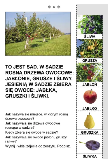 Funkcjonowanie osobiste i spo�eczne. Karty pracy dla uczni�w z niepe�nosprawno�ci� intelektualn�. Jesie� - Agnieszka Borowska-Kociemba, Ma�gorzata Krukowska