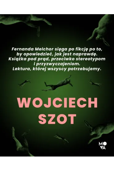 Fa�szywy zaj�c - Fernanda Melchor