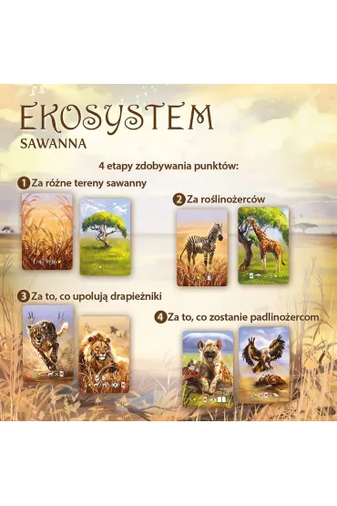 Ekosystem 3 &ndash; Sawanna - Matt  Simpson, Daniel D�valos, Steve Schlepphorst