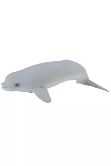 Wieloryb beluga m�ode