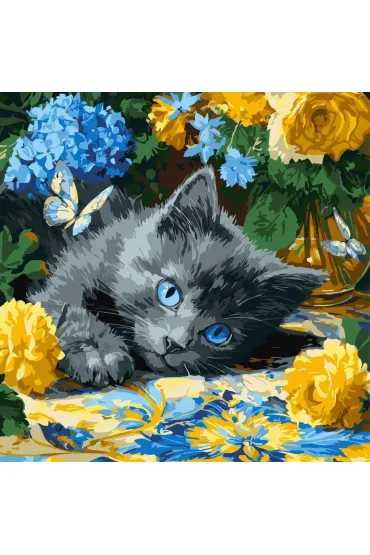 Ideyka Malowanie po numerach - B��kitnookie koci� 40x40cm