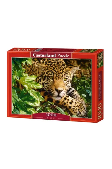 Puzzle 1000 el. Winter mountain light Castorland