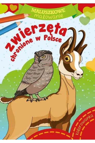 Pakiet dla przedszkolaka. Moje zwierzaki, Maluszkowe malowanie: Motyle, Bajki, Zwierzaki, Kucyki, Zwierz�ta chronione w Polsce - Pakiety na nagrody