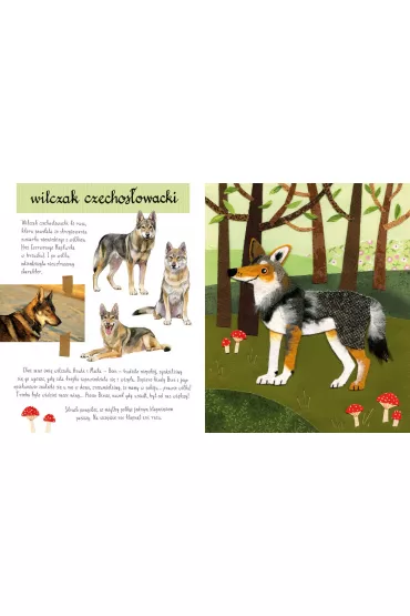 Ma�y atlas ps�w i szczeniak�w Ewy i Paw�a Pawlak�w - Ewa Kozyra-Pawlak, Pawe� Pawlak