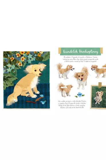 Ma�y atlas ps�w i szczeniak�w Ewy i Paw�a Pawlak�w - Ewa Kozyra-Pawlak, Pawe� Pawlak