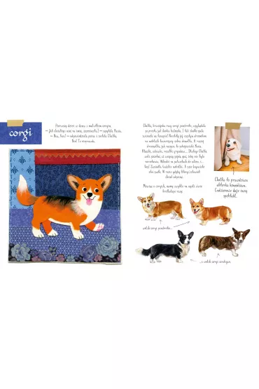 Ma�y atlas ps�w i szczeniak�w Ewy i Paw�a Pawlak�w - Ewa Kozyra-Pawlak, Pawe� Pawlak
