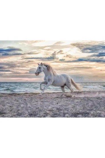 Puzzle 500 el. 2D Galop na pla�y Ravensburger