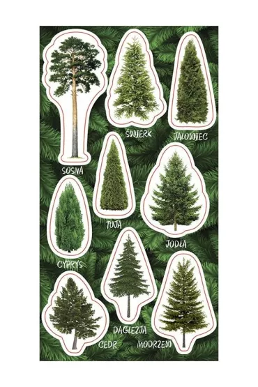 Ranok-Creative Naklejki Drzewa iglaste