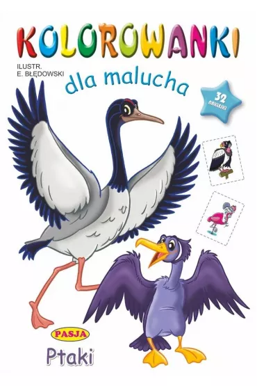 Kolorowanki dla malucha Ptaki