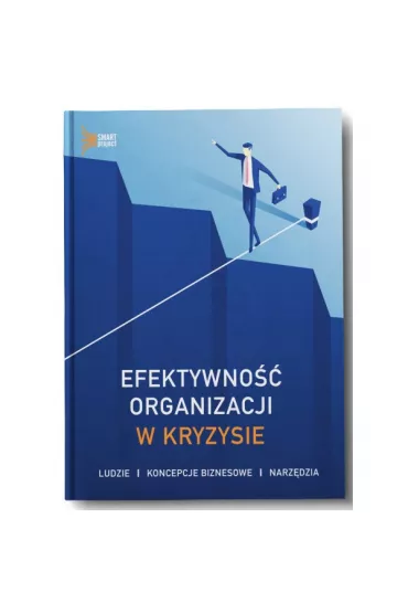 Efektywno�� organizacji w kryzysie - Rados�aw �liwka, Wojciech Rokicki