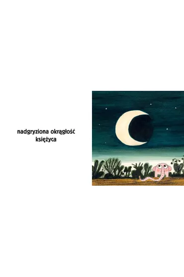 Pomelo i kszta�ty - Benjamin Chaud, Ramona B�descu